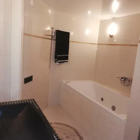 Элитные Апартаменты В Коттедже, Центр Минска Apartment